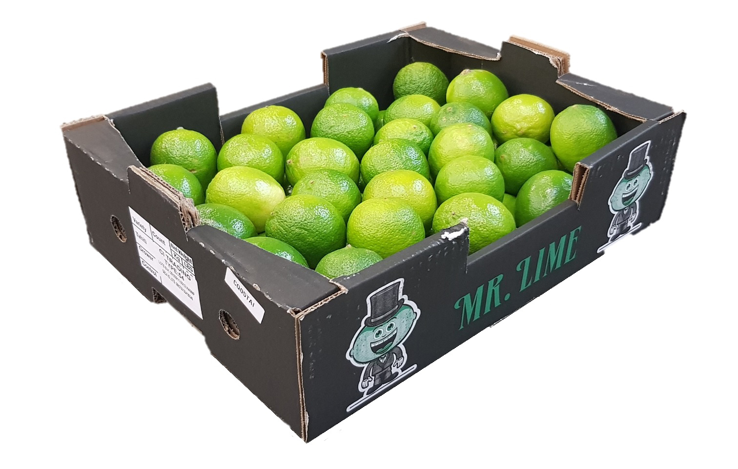 Limes Sägenspezi, kit de limage, guide de limage, manche de lime, lim, 1,49  €