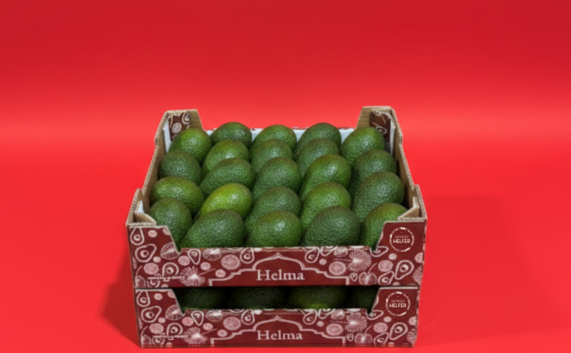 26.11.2025 – GEORGES HELFER S’IMPLANTE AU MAROC ET LANCE HELMA, SA MARQUE PREMIUM D’AVOCATS